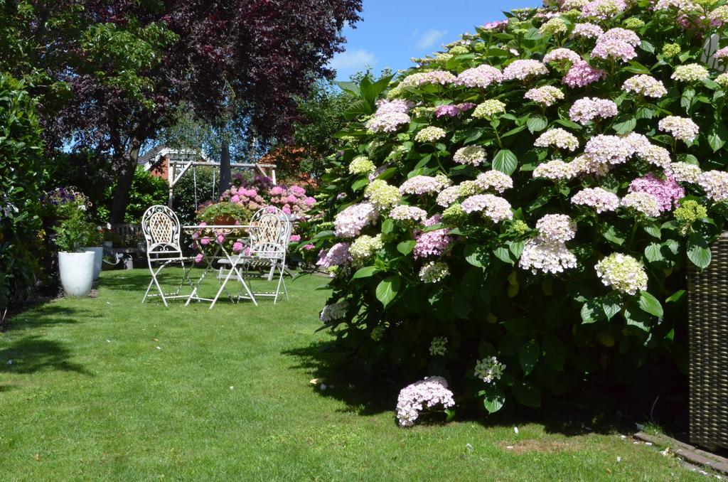 Bloemenhoeve Bed & Breakfast Birdaard Exterior photo